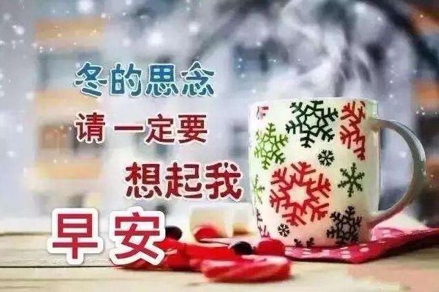 原来的泡学网哪去了